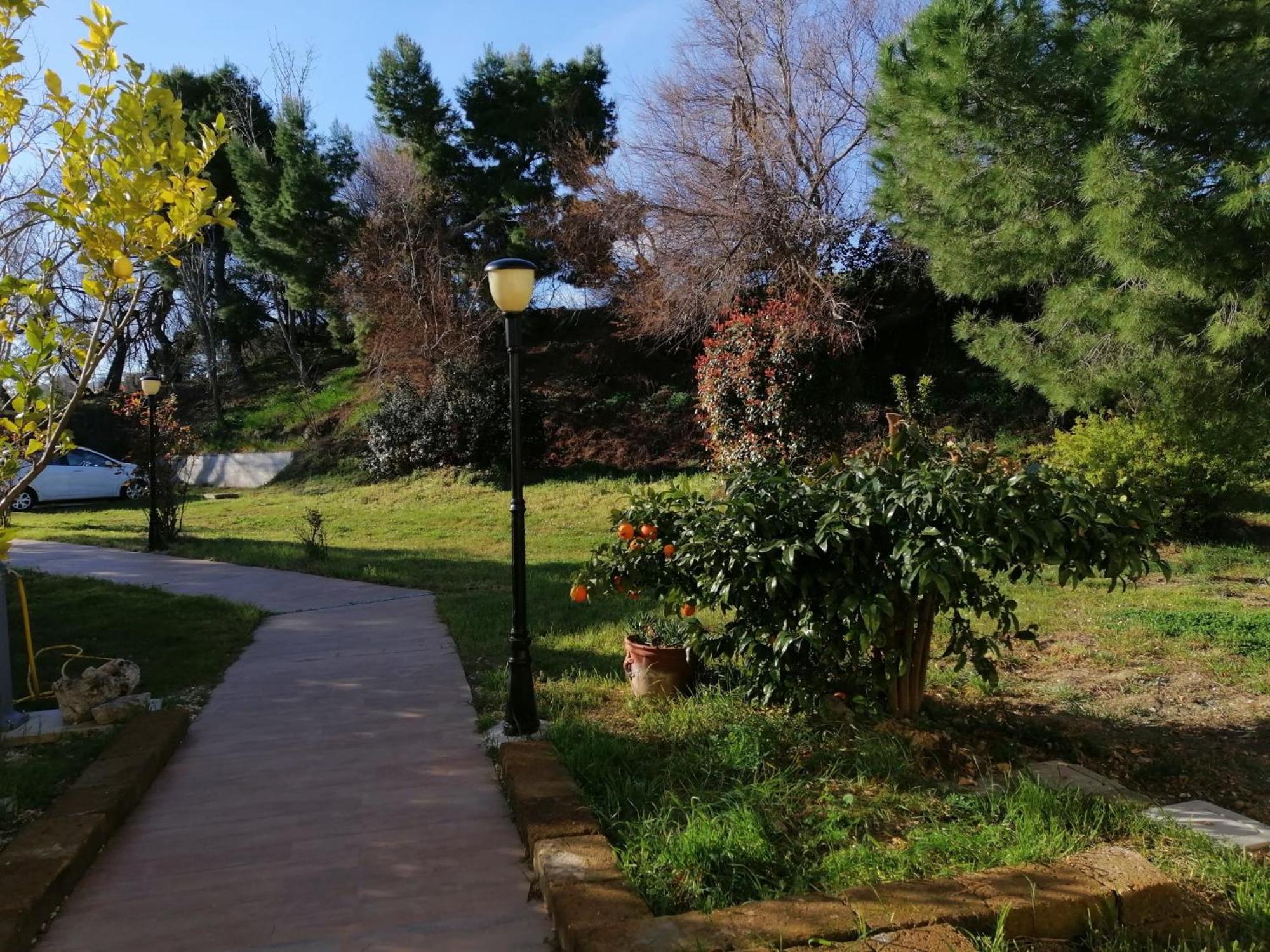 אנקונה Le Tamerici B&B מראה חיצוני תמונה